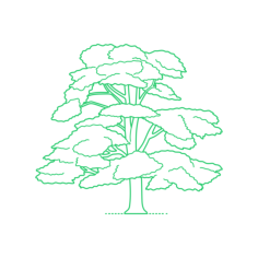 Plants Cedars Lebanese Cedar Laser Cut Svg File, Free Vectors File